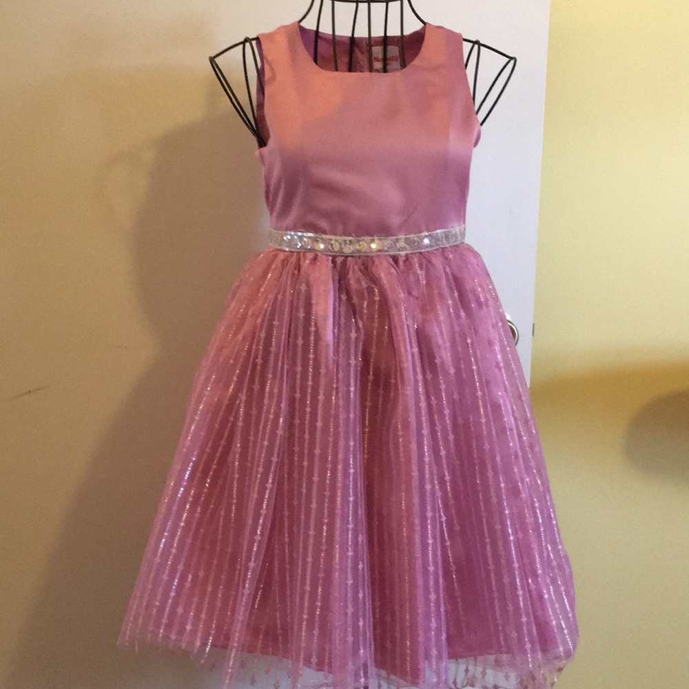 Pink and silver dress